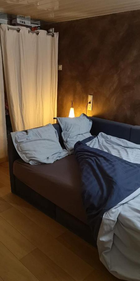 Cosy 2 Et Sdb Privative Blagnac